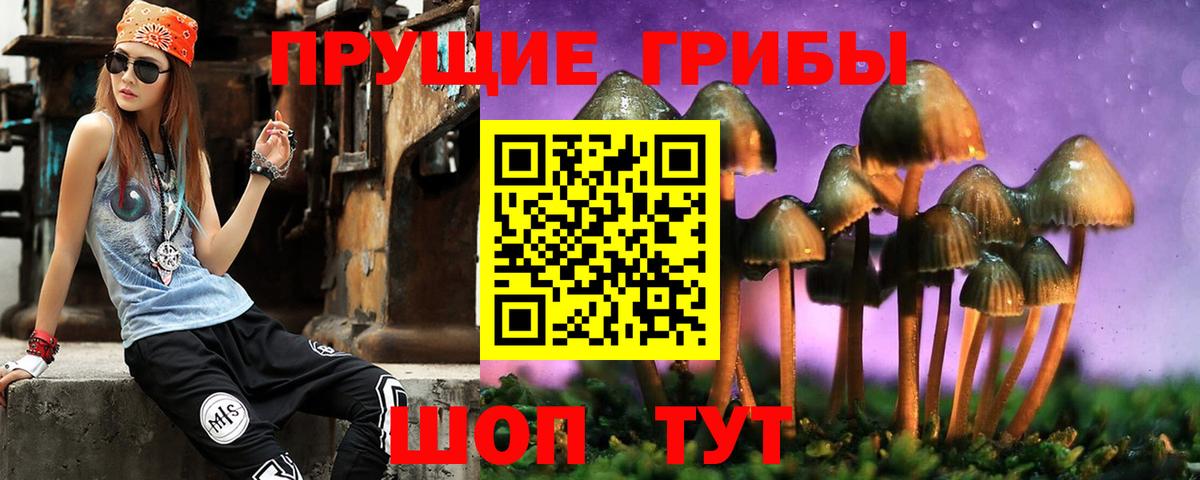 Псилоцибиновые грибы мицелий Алапаевск