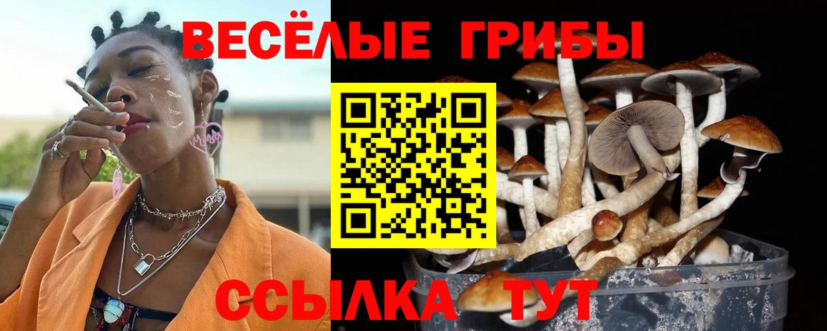 Галлюциногенные грибы Psilocybine cubensis  Вход с VPN  Алапаевск 